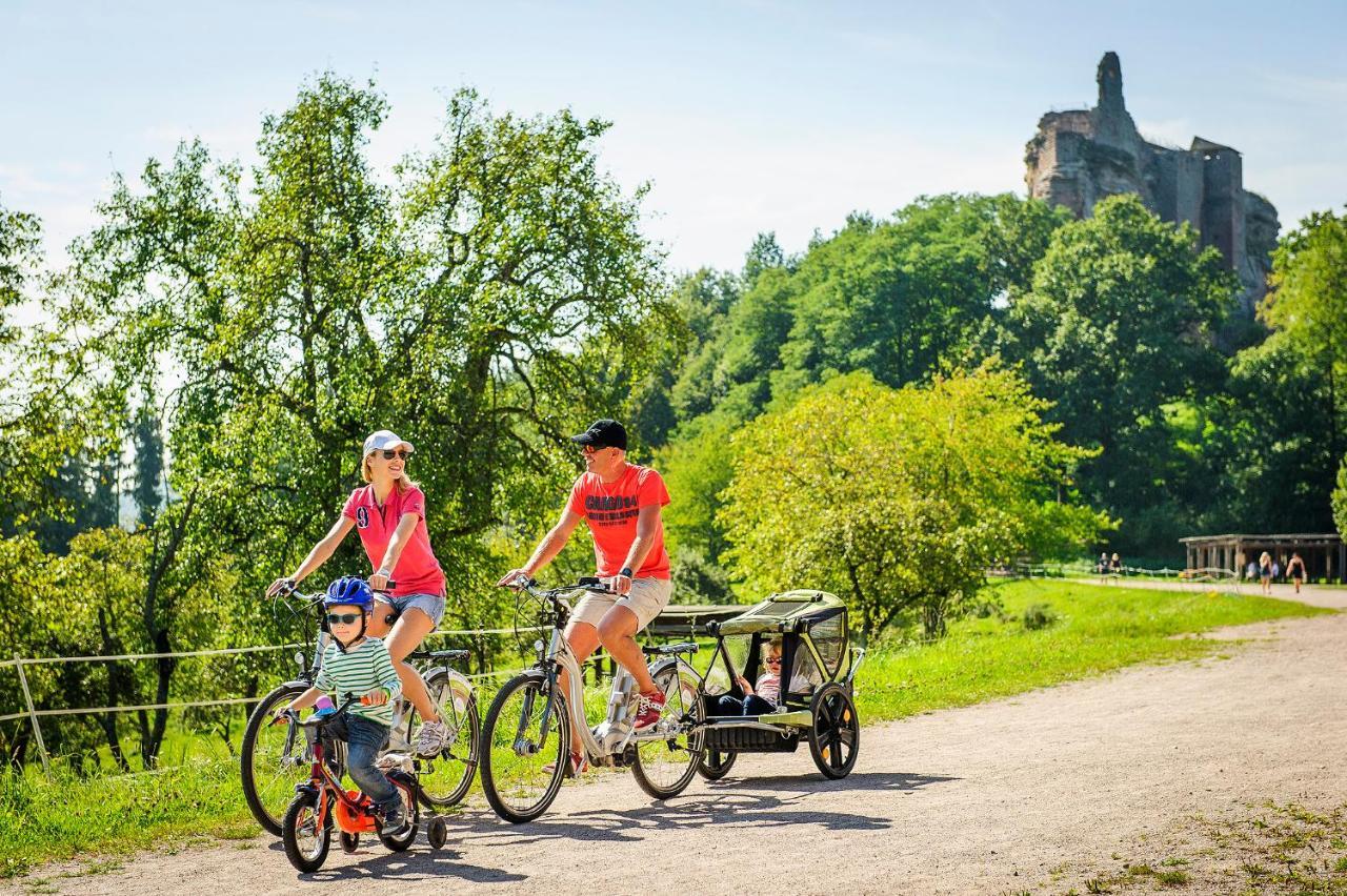 Ibis Budget Haguenau Strasbourg Nord Экстерьер фото